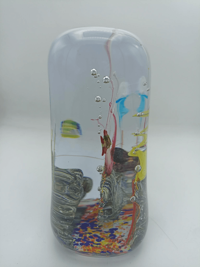 Acquario (19 X 13,5 X 7,5 Cm )
